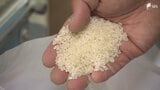 「米騒動がおさまってその余波が出ている」コメの安売り競争始まる? 5キロ2000円台のコメ登場で価格下落へ 在庫に悩む卸業者と生産者に配慮して仕入れ価格を維持するおにぎり店|TBS NEWS DIG
