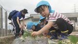 「大きくなりますように!」園児がサツマイモの植え付け体験 福島 | 福島のニュース│TUF