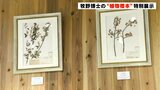 100年前の姿のままで 牧野富太郎博士が採取した“植物標本”特別展示 | 高知のニュース・天気|KUTV NEWS | KUTVテレビ高知