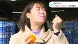 糖度12度以上!甘みがギュッと詰まったポンカンの出荷最盛期 | 高知のニュース・天気|KUTV NEWS | KUTVテレビ高知