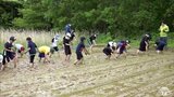 美味しいお米になりますように! 風間浦小の児童が田植え体験 青森県風間浦村 | 青森のニュース│ATV NEWS│青森テレビ