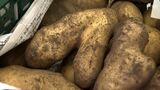 「こんなにおいしいジャガイモなのに…」廃棄前の規格外の野菜を使って小学生たちが楽しく調理実習=静岡・富士宮市 | 静岡のニュース | SBSNEWS | 静岡放送