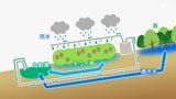 「人にもいいし、地球にもいい」日本最大級のキウイ農園が進める「循環型農業」【SDGs】|TBS NEWS DIG