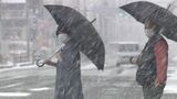 山口徳佐で23センチ積雪 山口市街地でも4センチに 強い寒気広い範囲で雪(午前11時現在)|TBS NEWS DIG