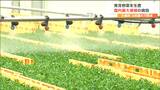 「災害にも強い」国内最大級の生産センター　豆苗やカイワレ大根など発芽野菜を栽培　宮城・大郷町　|　宮城のニュース│tbc NEWS│tbc東北放送