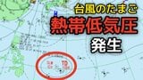 【台風のたまご】新たな「熱帯低気圧」が発生　今夜には2個目も発生か　今後の動向は？　22日までの雨風シミュレーション【気象庁13日天気図】|TBS NEWS DIG
