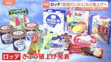 ロッテ「雪見だいふく」「BIGスイカバー」など値上げへ アイスメーカー各社による“価格カルテル”疑いのなか1日遅れで発表|TBS NEWS DIG