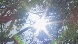 この夏の日本「危険な高温」の日数は62日に ほぼ全人口が30日以上「危険な高温」を経験 米研究機関が分析|TBS NEWS DIG