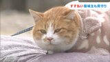 猫城主さんじゅーろー「今年も多くのお客さんに来ていただいてご満悦」備中松山城ですす払い【岡山・高梁】|TBS NEWS DIG