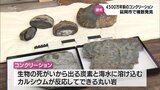 海底に沈んだ生物の死がいを覆ってできる丸い岩「コンクリーション」　延岡市で複数発見　　|　MRTニュース ｜ ＭＲＴ宮崎放送