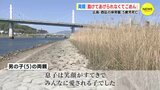 両親「川の水がいっぱい入ってきて辛かったね。助けてあげられなくてごめん」保育園近くの川で5歳児死亡 検証委から市に再発防止策【動画ニュース】|TBS NEWS DIG