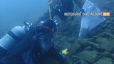民家の水槽で発見 国内では初確認の“モトスマリモ” 生態解明へ国立科学博物館が本栖湖で潜水調査|TBS NEWS DIG
