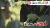 「騒ぎになるとすればこれから…」クマの目撃相次ぎ、残されたフンからは柿の種 猟友会が危機感 富山|TBS NEWS DIG