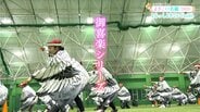 よさこい祭り出場チーム紹介「とらっくよさこい（ちふれ）」　“よいさ！ほいさ！”代名詞とも言える掛け声と隊列美で毎年観客を魅了　よさこい大賞奪還に燃える【よさこい名鑑2026】　|　高知のニュース・天気｜KUTV NEWS | KUTVテレビ高知