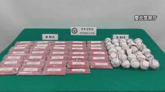野球ボールの中身は違法薬物「YABA」…韓国警察がタイ人47人を大量摘発| TBS CROSS DIG with Bloomberg