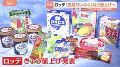 ロッテ「雪見だいふく」「BIGスイカバー」など値上げへ　アイスメーカー各社による“価格カルテル”疑いのなか1日遅れで発表| TBS CROSS DIG with Bloomberg