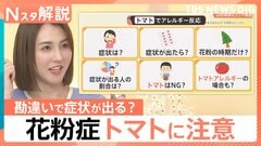 スギ花粉症なら知っておきたい「花粉食物アレルギー」の症状や対処法 トマト、リンゴも要注意【Nスタ解説】| TBS CROSS DIG with Bloomberg