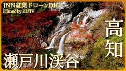高知 渓谷と紅葉【JNN 紅葉ドローンDIG】|TBS NEWS DIG