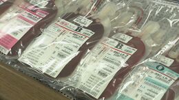 血液型は･･･「知らない」 血液型を知らない人が増加!? 「60年間Ａ型だと…」の例も　医師は「知らないことは逆に“いいこと”」|TBS NEWS DIG