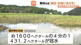 市内の水田の4分の1、431haが冠水 コメ収穫直前で深刻化 菊地市長「全容把握に努めサポートしっかり」 富山・氷見市|TBS NEWS DIG