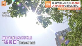きょうも暑かった…関東でも35度超え・猛暑日を観測 沖縄はちょっと遅い梅雨入り あすは広い範囲で曇りや雨|TBS NEWS DIG