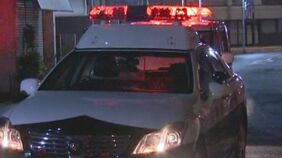 パトカーの前で急停止「ハイボール7、8杯飲んだ」ふらつき自転車の男を現行犯逮捕|TBS NEWS DIG