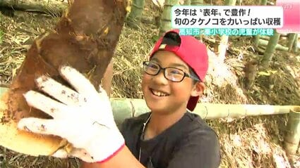 炊き込みごはんがいい」2026年は“表年”で豊作！ 旬のタケノコを