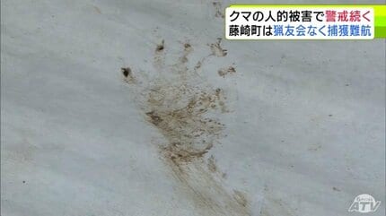 詳報】男性は『拳』でクマを撃退 リンゴ畑で作業中に後ろからクマが