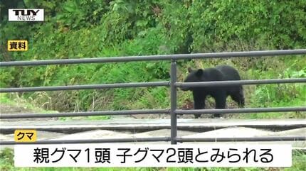 親グマ1頭と子グマ2頭か登校中の小学生がクマ3頭を発見 自宅に戻り