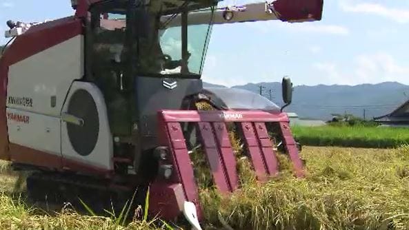 豊作だった2025年と同程度の18万トン余りに「コメ不足は起きない生産量」26年のコメ生産の目安値を決定　長野|TBS NEWS DIG