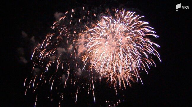 静岡市の夏の風物詩「安倍川花火大会」中止に 大雨で河川増水の影響受け 開催日の延期はなし=静岡市|TBS NEWS DIG