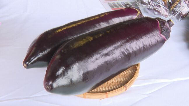 驚くほど大きい“萩たまげなす”出荷始まる「味でも驚いてほしい」|TBS NEWS DIG