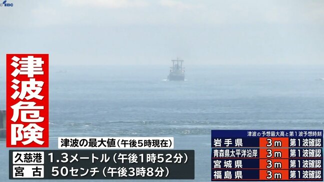 「ドキッとした」「早く避難するようにした」 岩手県を含む太平洋沿岸に津波警報 久慈港で最大1.3メートルを観測 |TBS NEWS DIG