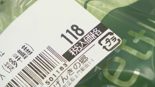 “シャキシャキ”レタスが安い ナスやミニトマトなど夏野菜も 物価高が続くも安定した価格 客｢うれしい｣ 愛知･大府市|TBS NEWS DIG