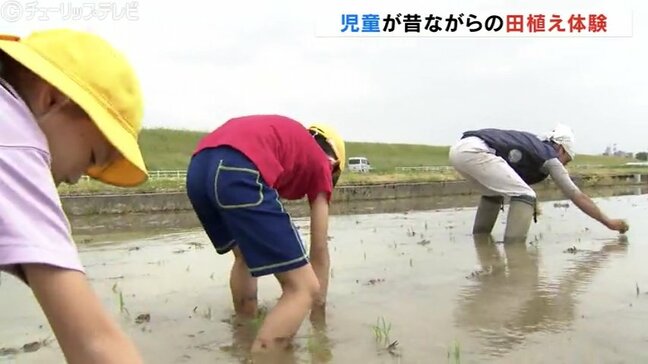 秋の収穫が楽しみ！泥んこまみれの児童たち　わくわく米作りスタート　富山|TBS NEWS DIG