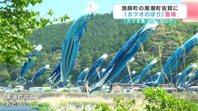 「カツオがたくさんいたので、めっちゃ食べたくなった」高知県黒潮町佐賀に「カツオのぼり」登場|TBS NEWS DIG