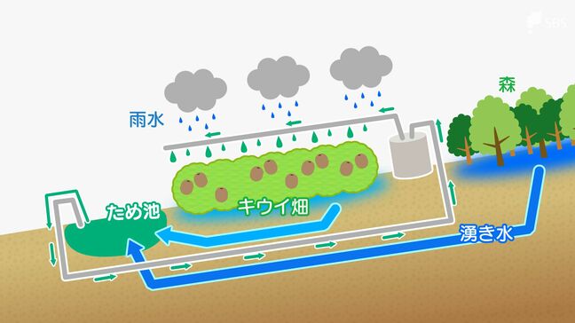 「人にもいいし、地球にもいい」日本最大級のキウイ農園が進める「循環型農業」【SDGs】|TBS NEWS DIG