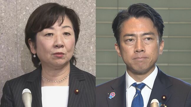 【速報】野田聖子氏 小泉進次郎農水大臣の推薦人となる方向で最終調整|TBS NEWS DIG