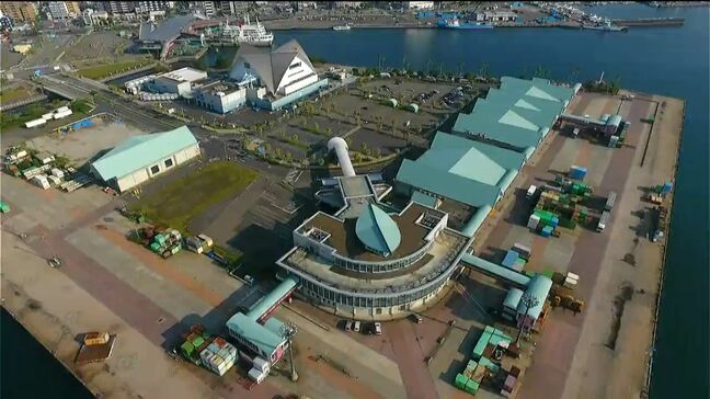 北ふ頭の旅客ターミナル今年度から設計・整備スタート　にぎわい創出に向け利便性アップへ|TBS NEWS DIG