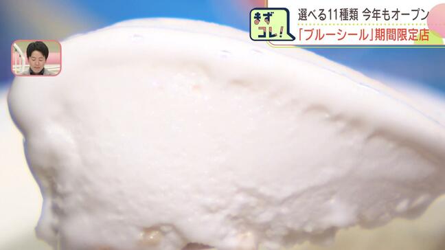 沖縄のご当地アイス今年も“ブルーシール”期間限定店が札幌にオープン「シークワーサー」「黒糖」「塩ちんすこう」独特フレーバー11種類　大通ビッセで20日まで|TBS NEWS DIG