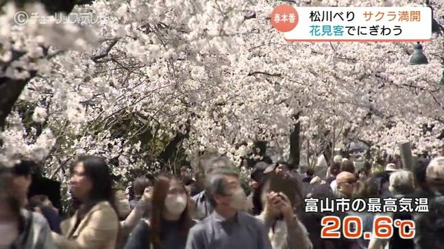 富山市の「松川べり」のサクラ満開 ”花金”で花見客がいっぱい 春の日差しのもとサクラに酔いしれる|TBS NEWS DIG