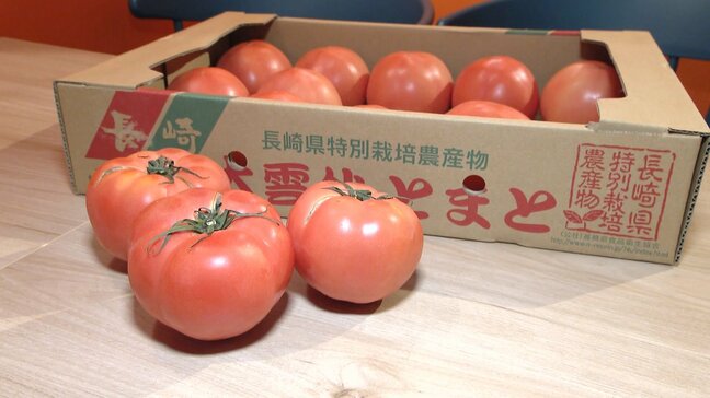 「50年で初めて」トマトが高騰 全国一の産地・熊本の大雨が影響 ”仕入れ値が去年の3倍”飲食店は悲鳴 来年1月まで続くか|TBS NEWS DIG