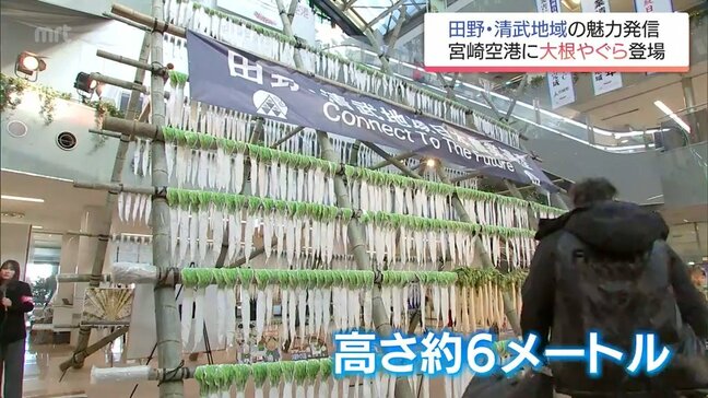 日本農業遺産をPR　高さ6メートルの「大根やぐら」が宮崎空港に登場|TBS NEWS DIG