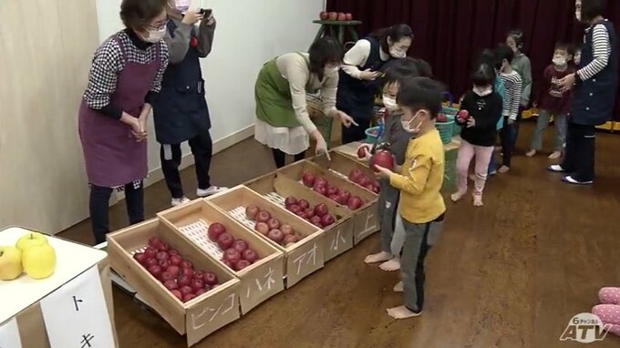 「日本でも世界でも一番作られているリンゴは？」生産量日本一の青森県の園児の答えは「ふじ」正解は？　|　青森のニュース│ATV NEWS│青森テレビ