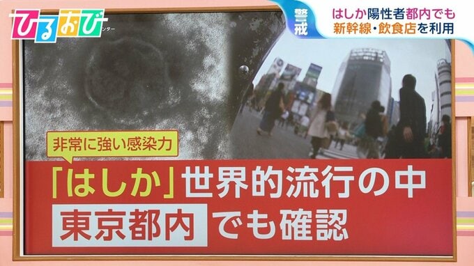 「1人から12人以上に感染」世界的流行の『はしか』都内でも確認　ワクチン回数に年齢で差【ひるおび】|TBS NEWS DIG