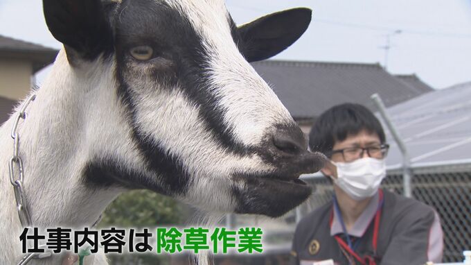 「勤務時間自由で寮・食事完備」ＪＲに好条件で採用された除草作業のプロ　|　熊本のニュース｜RKK NEWS｜RKK熊本放送