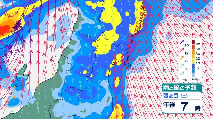 発達中の低気圧の影響で夕方から警報級大雨や暴風のおそれも　【雨風シミュレーション20日午前9時～21日午前6時】20日宮城の天気　tbc気象台　|　宮城のニュース│tbc NEWS│tbc東北放送