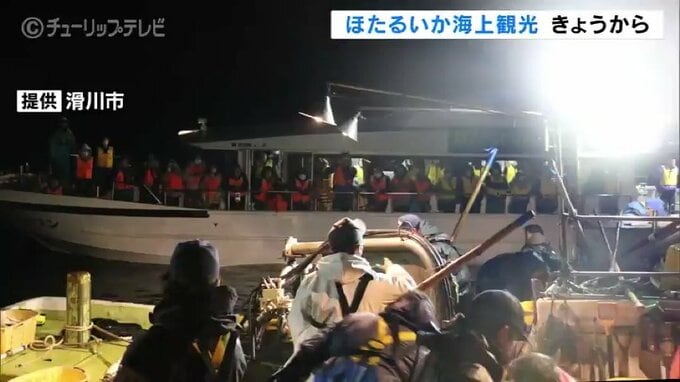「パーッと青い光の球になっている！」海上に響く歓声　ほたるいか海上観光スタート　富山・滑川市　|　富山のニュース｜天気・防災｜チューリップテレビ