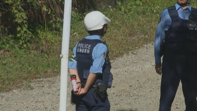【ヒグマ情報】「子グマが動けなくなっている」札幌市南区藤野で親子グマ2頭を駆除　残り1頭の子グマは発見できず|TBS NEWS DIG
