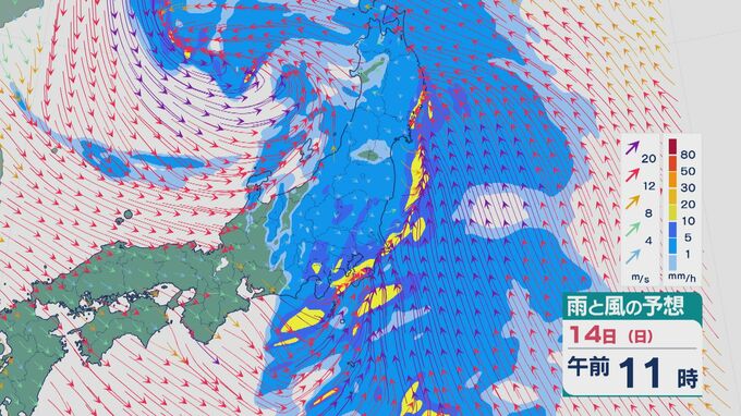 “2つの低気圧”が日本付近を進み急速に発達へ 14日(日)は九州から東北で雨や雪が降り荒れる天気のところも 関東も14日の日中は雨強まる 雪・雨と風シミュレーション|TBS NEWS DIG